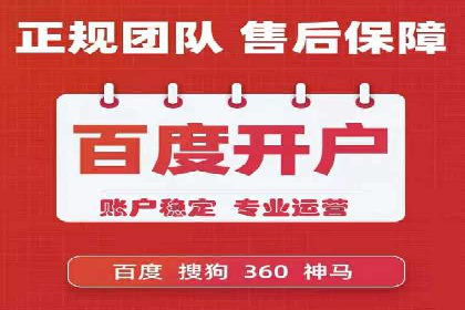 经典案例：专业SEM托管如何实现ROI最大化